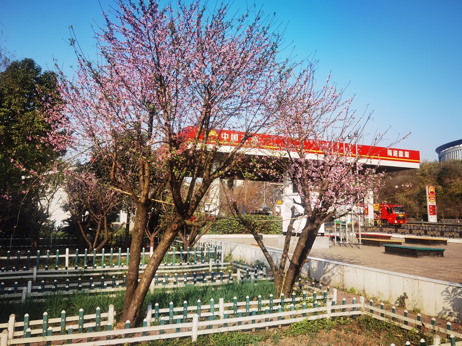 標準+生態(tài)4.jpg